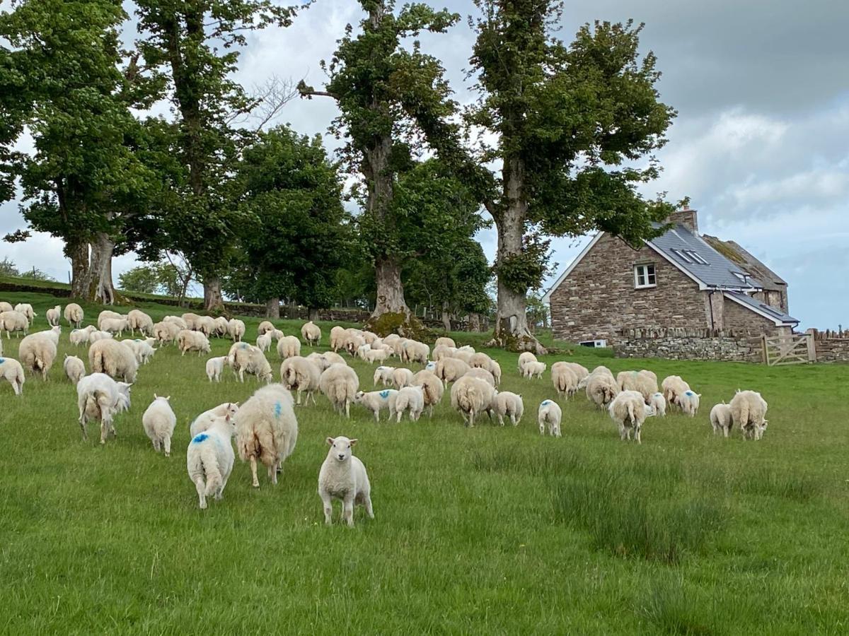 Villa Pant Llwyd Farm à Llangynidr Extérieur photo